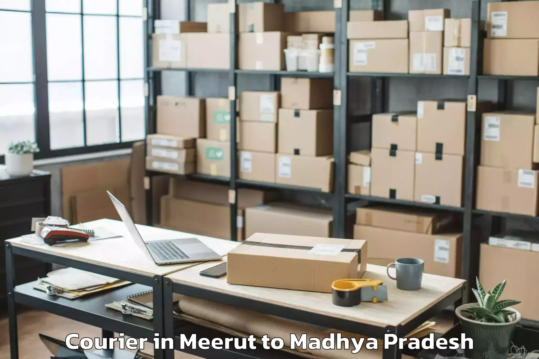 Easy Meerut to Goharganj Courier Booking